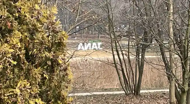 A photo of a park scene with bare trees and a bush in the foreground, showing large white letters spelling 'ANAL' in the…