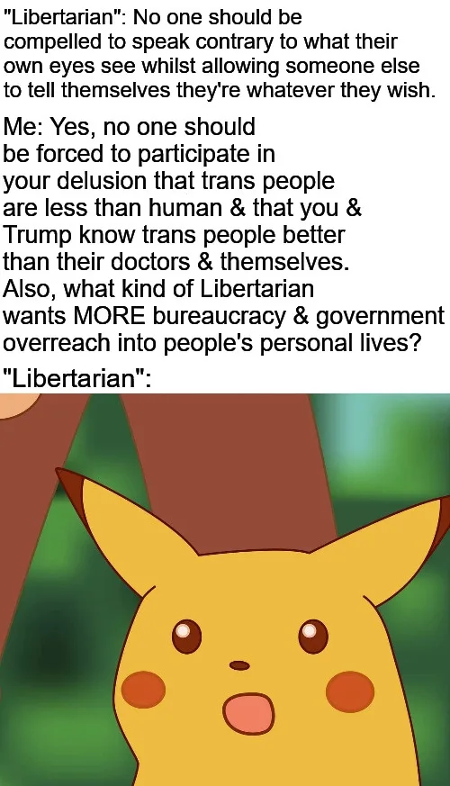 The image shows Pikachu with a surprised expression, overlaid with text that presents a dialogue. The 'Libertarian' claims…