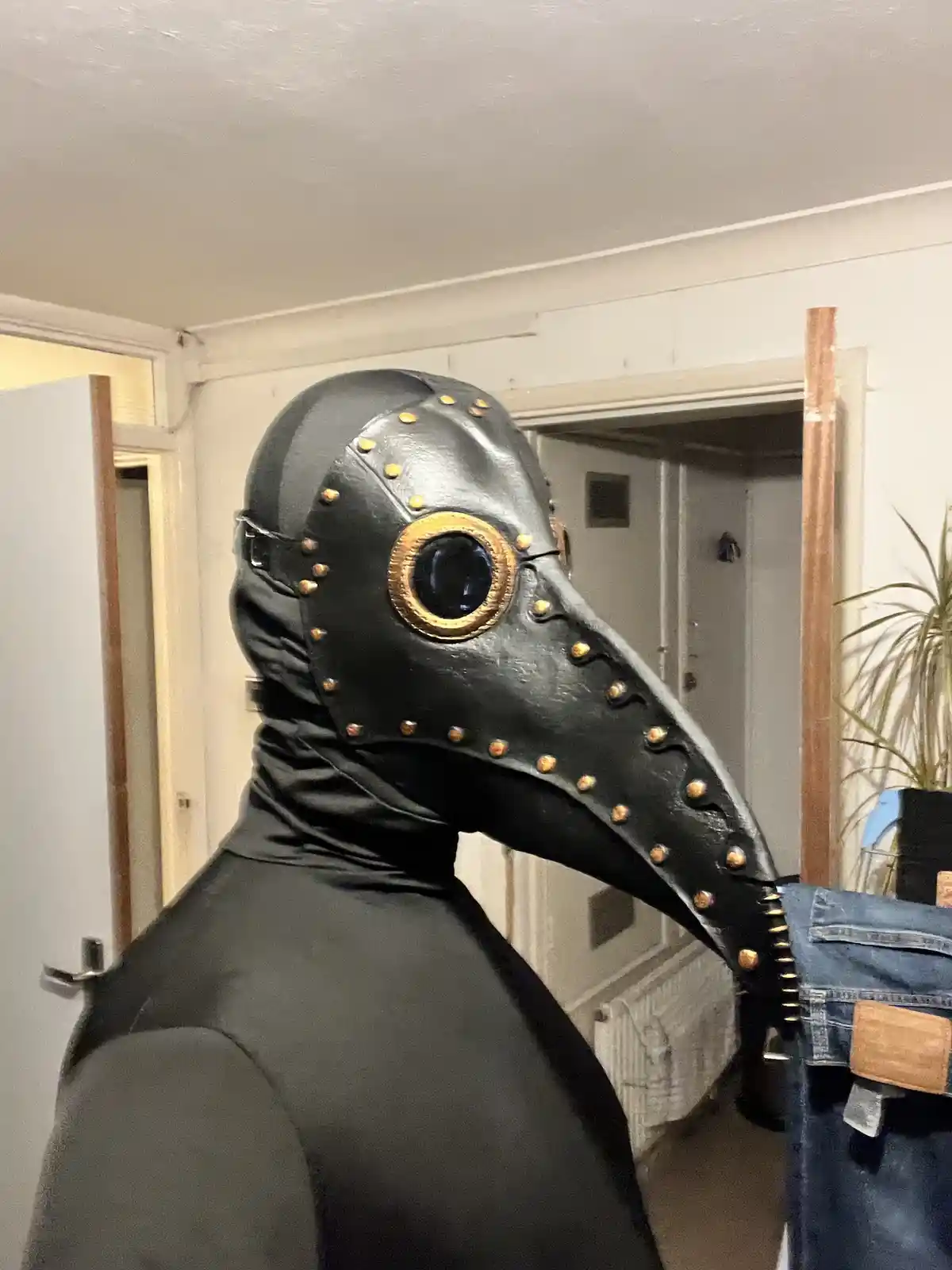 A person wearing a black, studded plague doctor mask with a long beak and gold-rimmed eye opening stands indoors, holding a…