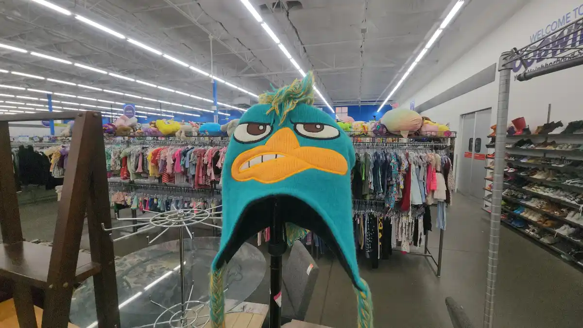 Treasure Hunting Success: Another Amazing Goodwill Find!