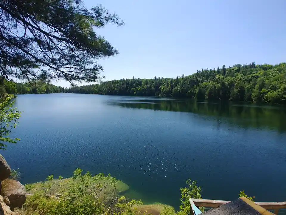 A serene photograph of a calm, deep blue lake surrounded by dense green forests under a clear blue sky, with pine branches…