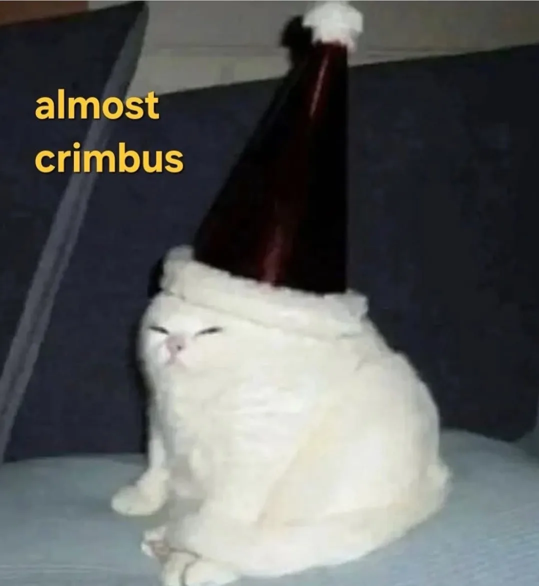 A fluffy white cat sits on a couch wearing a Santa hat that is too large, obscuring its eyes and ears, with the text 'almost…
