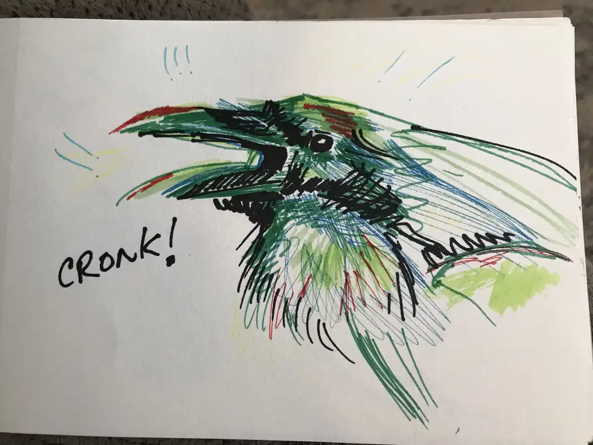 A hand-drawn, colorful sketch of a bird's head and neck, rendered with green, blue, and red crayon or marker strokes…