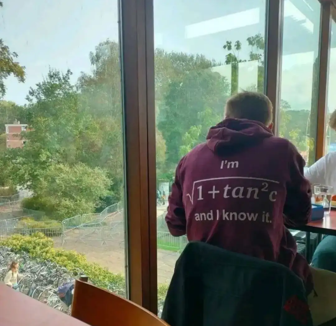 A person viewed from behind, wearing a maroon hoodie with white text that reads 'I'm √1+tan²c and I know it.' They are…