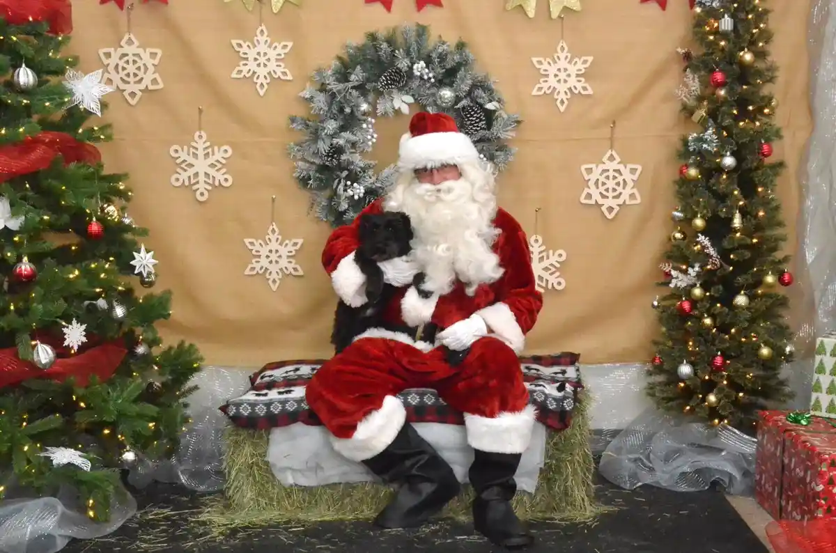A person dressed as Santa Claus sits on a hay bale bench in a festive Christmas photo booth, holding a small black dog. The…