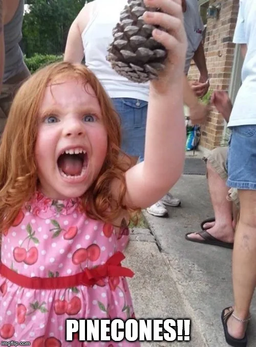 A young girl with red hair and a pink cherry-patterned dress is screaming excitedly while holding up a large pinecone. The…