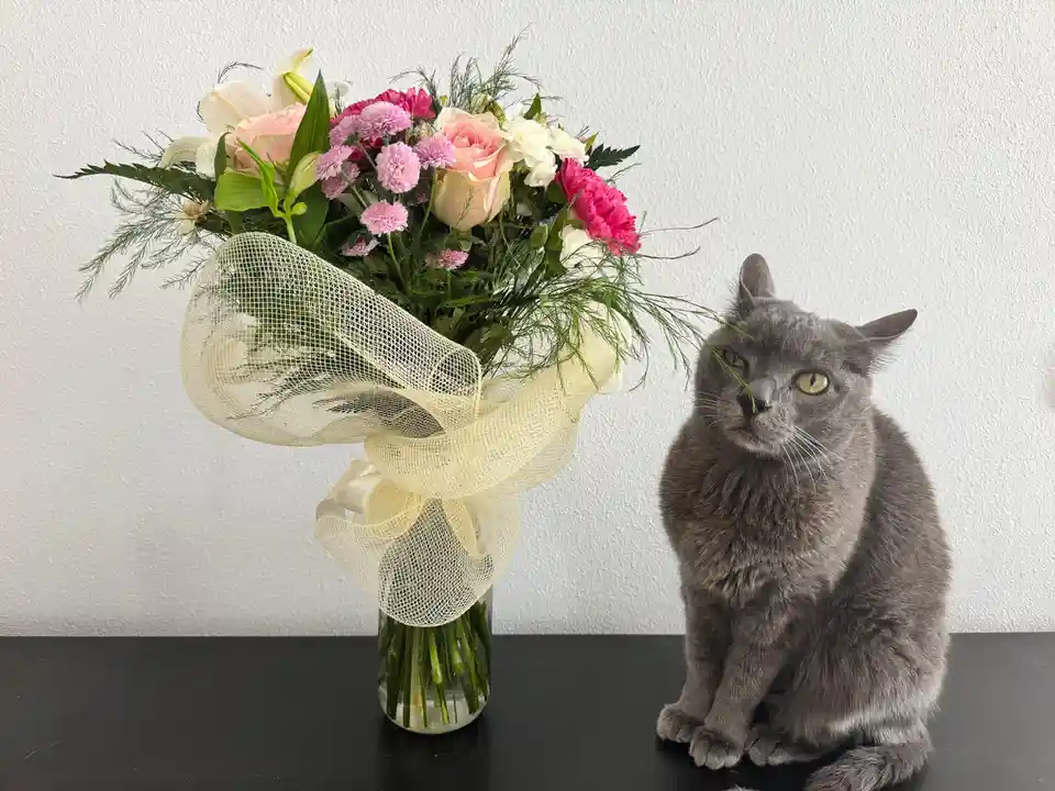 A gray cat sits beside a vase of pink, white, and magenta flowers wrapped in cream-colored netting, with a green flower stem…