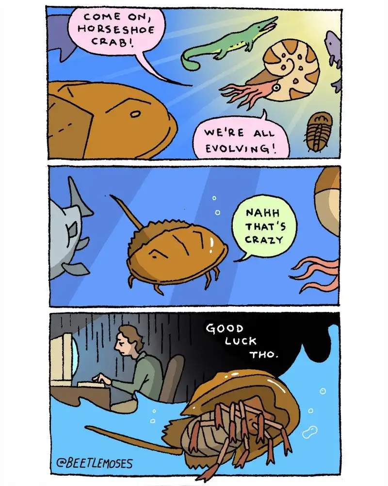 A three-panel comic shows ancient sea creatures, including a horseshoe crab, reacting to evolution. In the first panel, a…