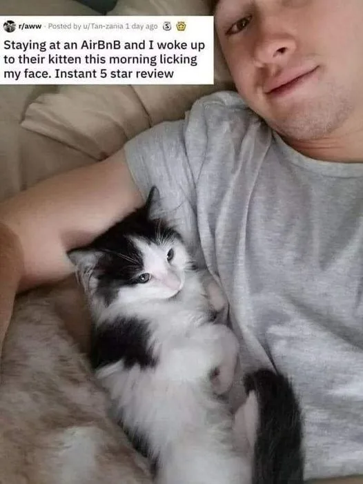 A person is lying in bed, smiling slightly, with a black and white kitten curled up and resting on their chest. The kitten…