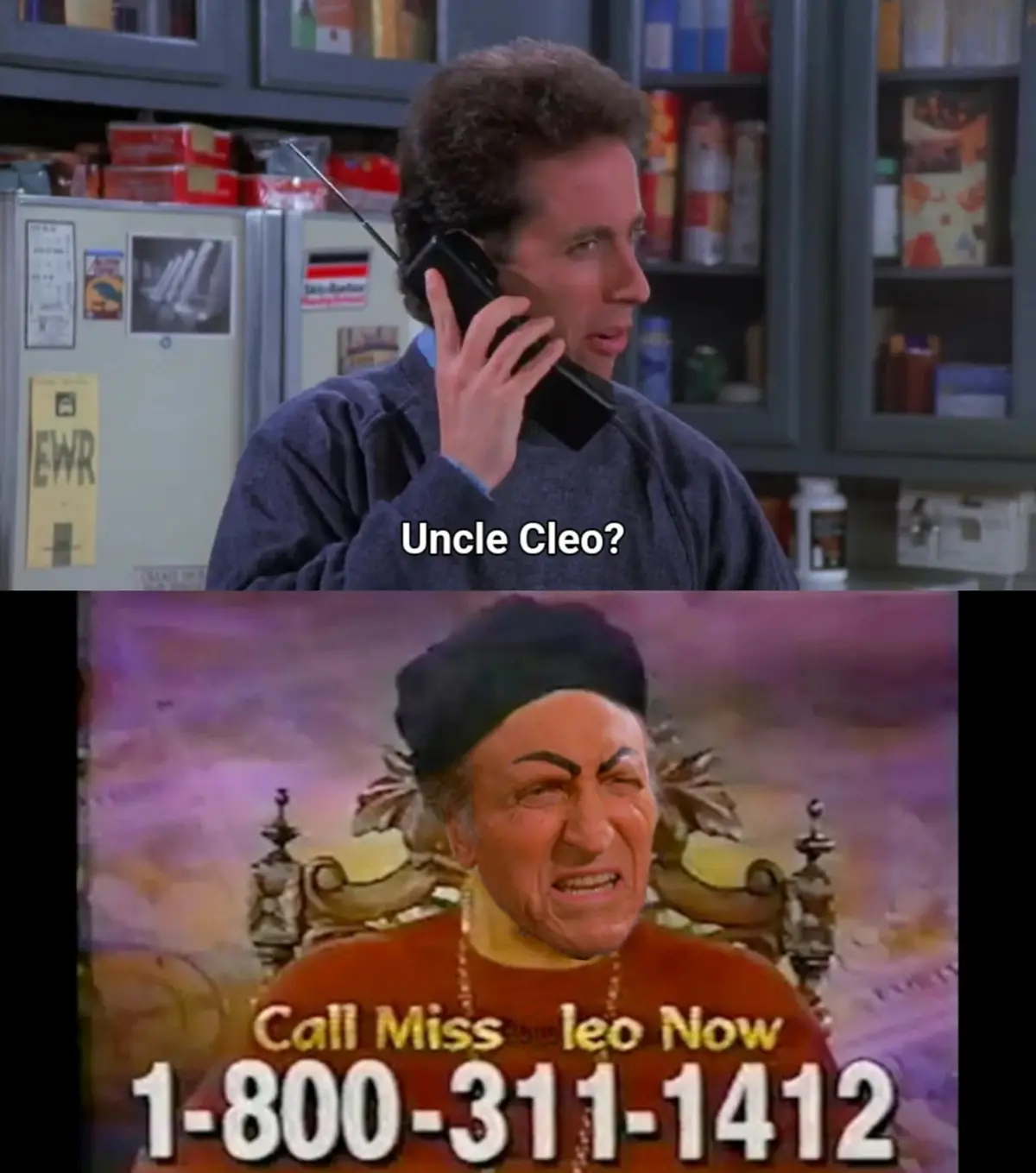 The top panel shows a man in a kitchen holding an old-style phone, asking 'Uncle Cleo?'. The bottom panel features a woman…