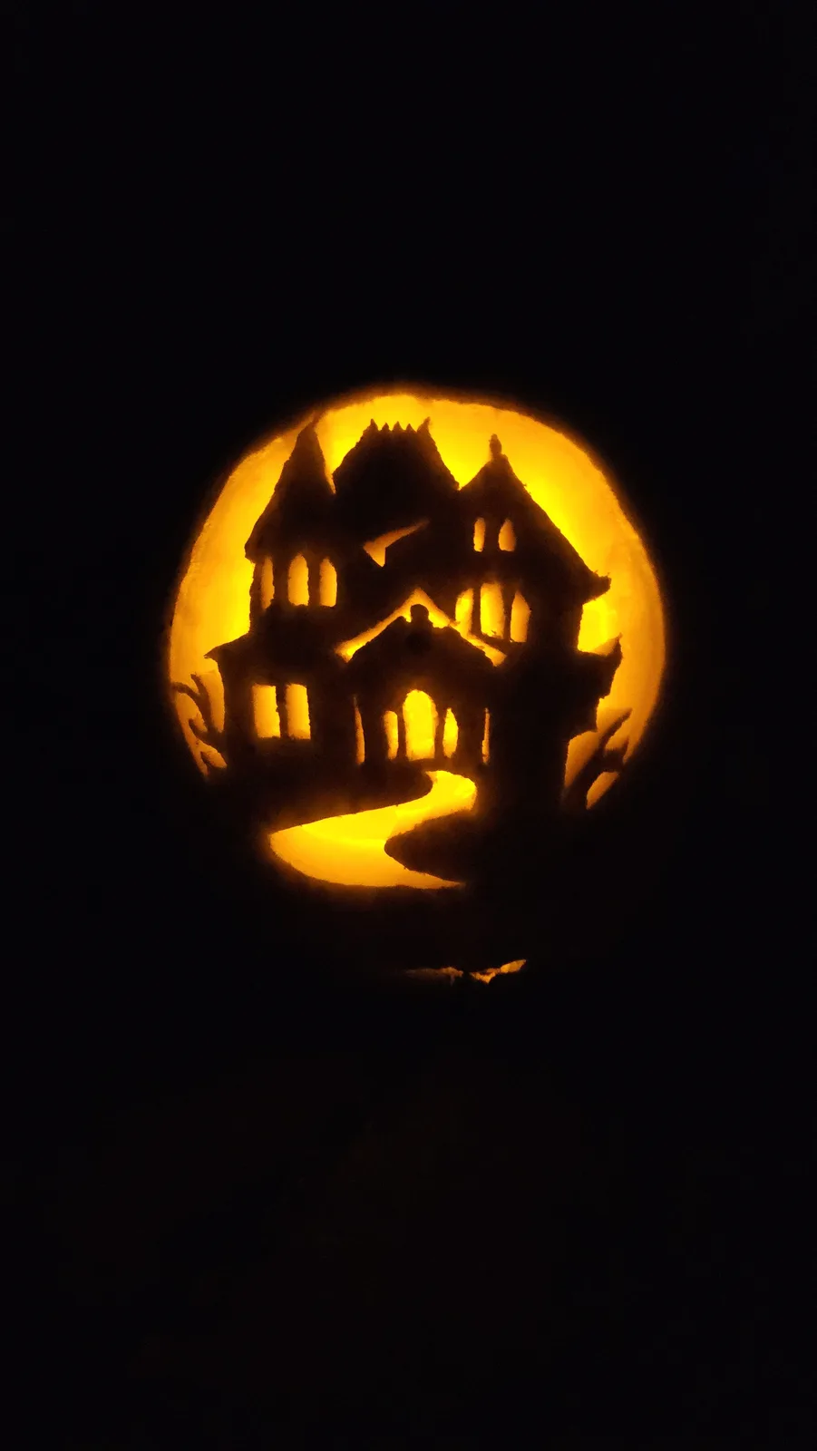 Get Ready for the 2024 Jack-O-Lanterns!