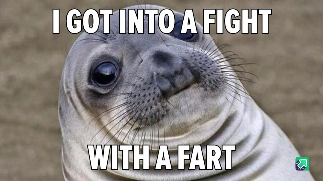 A close-up image of a seal with large, innocent-looking eyes and a slightly smug expression, looking directly at the viewer…