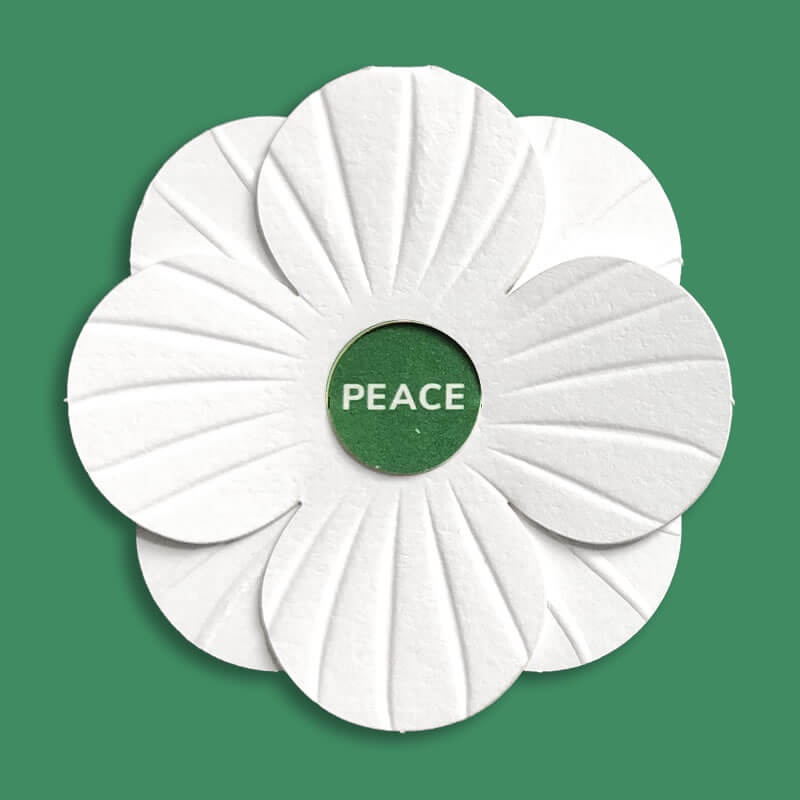 A white paper flower with multiple layered petals is centered on a solid green background. The flower's center is a green…