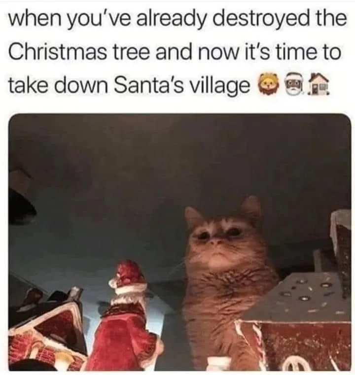 Is it too early for Christmas memes before Thanksgiving?