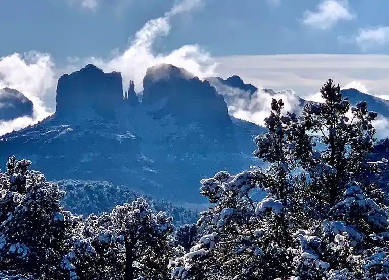 A scenic winter landscape shows snow-covered pine trees in the foreground with majestic, cloud-wreathed mountain peaks in…