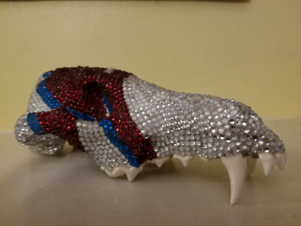 a close-up photo shows a small animal skull, likely from a rodent or small carnivore, entirely covered in rhinestones. The…