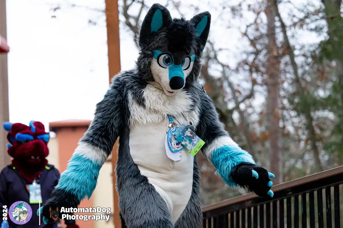 A person in a detailed black, white, and blue wolf fursuit stands outdoors with arms outstretched, wearing a lanyard with a…