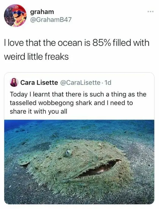 A screenshot of a Twitter thread shows a user named Graham saying they love that the ocean is 85% filled with weird little…