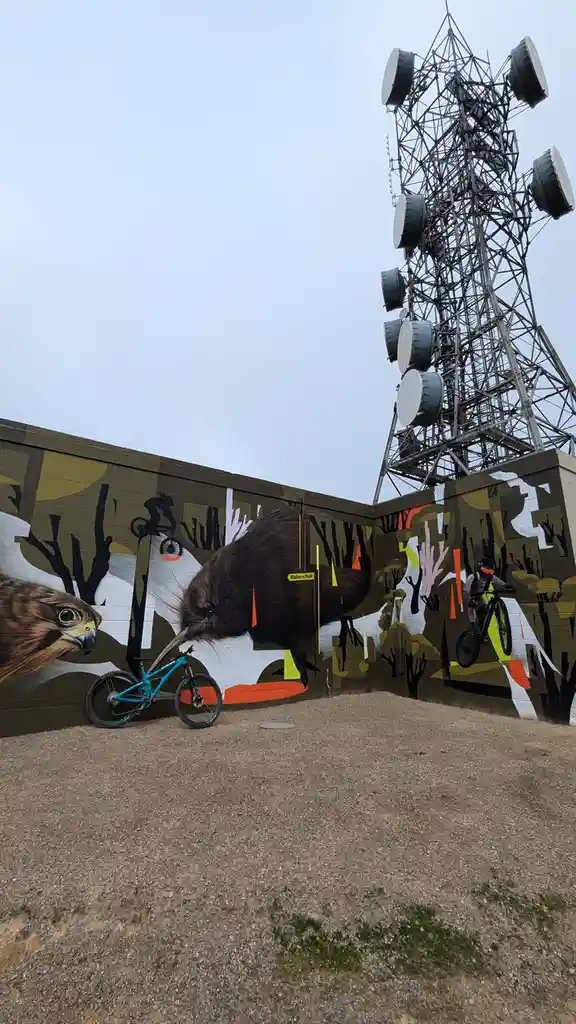 A bright blue mountain bike is parked on gravel in front of a large mural depicting a kiwi bird, a hawk, and mountain…