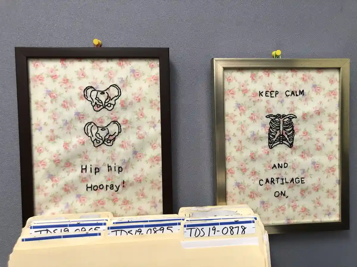 Two framed embroidery pieces on a gray wall, each with floral fabric and black thread. The left frame shows two hip bones…