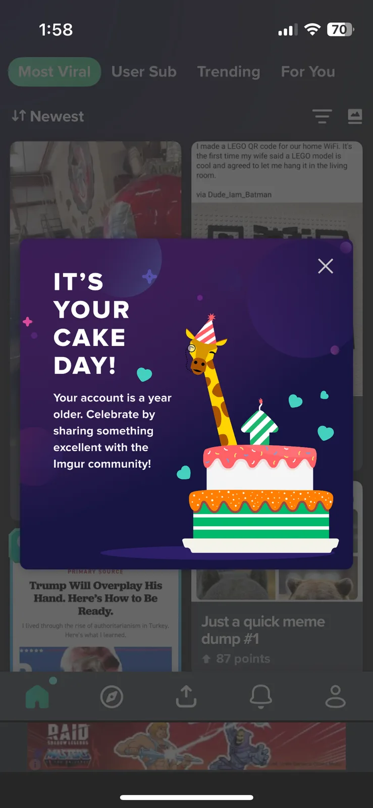 Celebrating Cake Day: A Sweet Surprise Awaits!