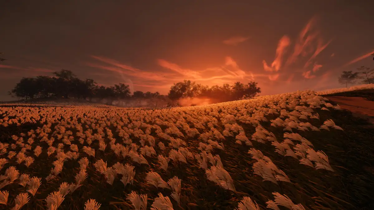 A serene, wide-angle landscape photo shows a field of tall, feathery white grasses swaying under a dramatic, fiery orange…