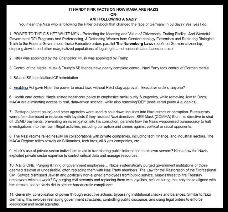 A white-background image displays a numbered list titled '11 HANDY FINK FACTS ON HOW MAGA ARE NAZIS -OR- AM I FOLLOWING A…