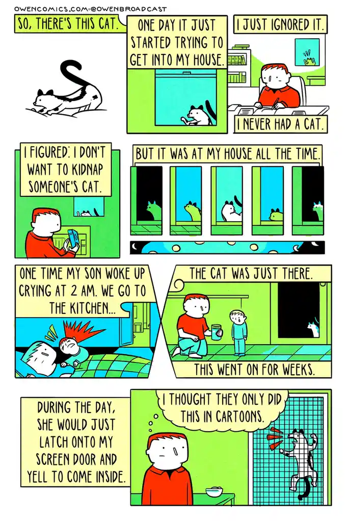 Just a cute cAt being adorable