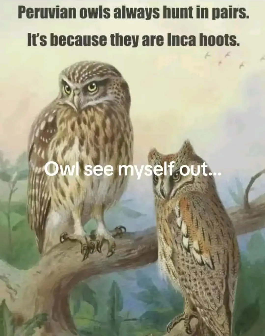 Two illustrated owls perch on a tree branch against a soft-focus natural background. The larger owl on the left has a stern…