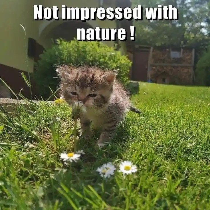 Venturing Out for the First Time...