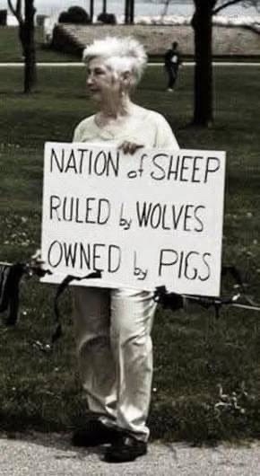 A person with short white hair stands outdoors holding a white sign with black handwritten text that reads 'NATION of SHEEP…