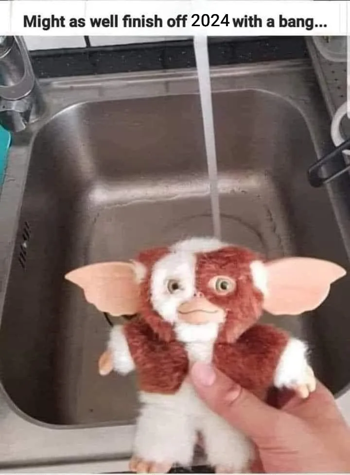 A person holds a small, brown-and-white plush toy resembling the character Gizmo from the movie 'Gremlins' under a running…
