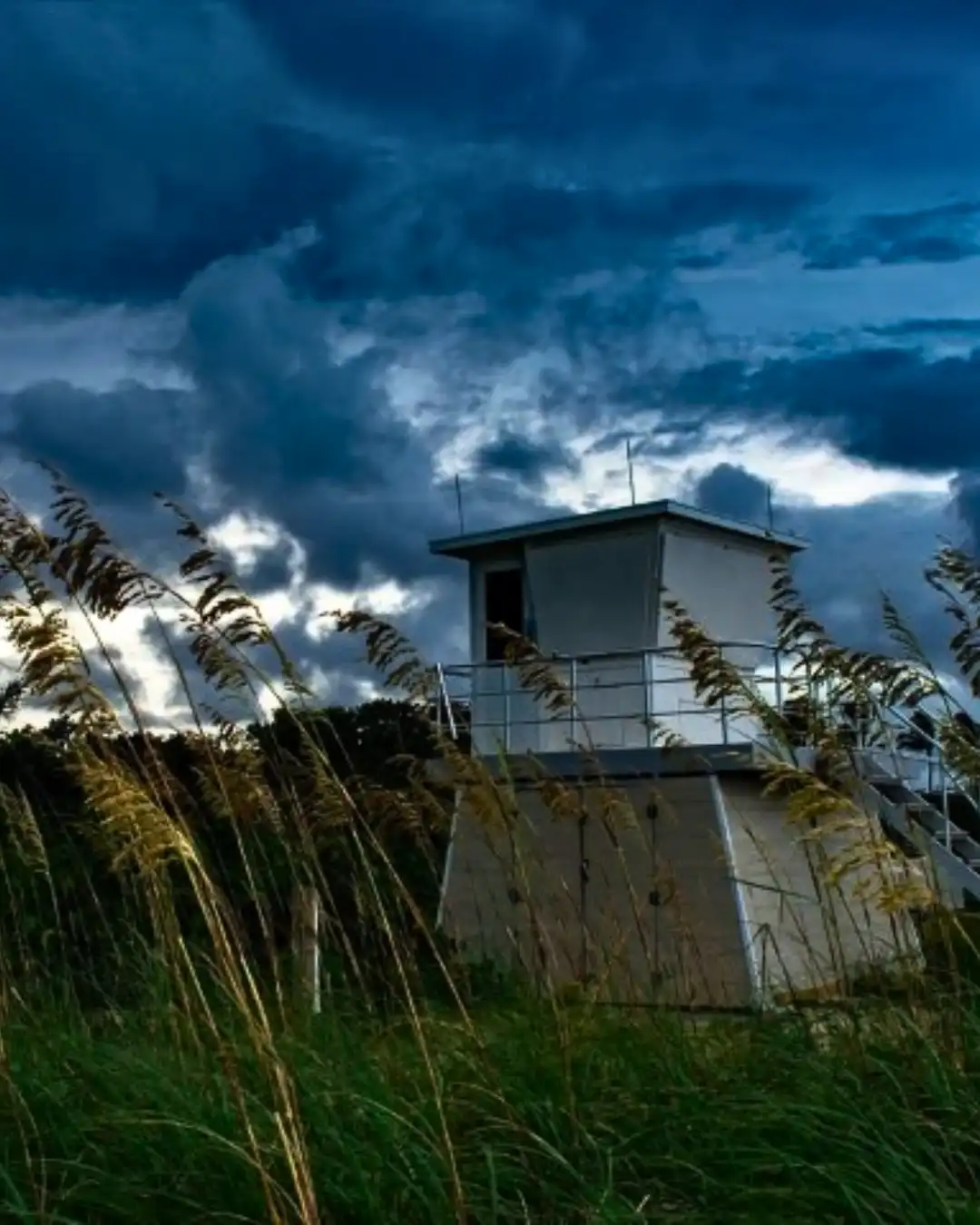 A solitary lifeguard tower stands against a dramatic, stormy sky, framed by tall, swaying grass in the foreground. The…