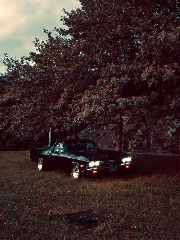 Cruising in Style: El Camino Adventures Await!