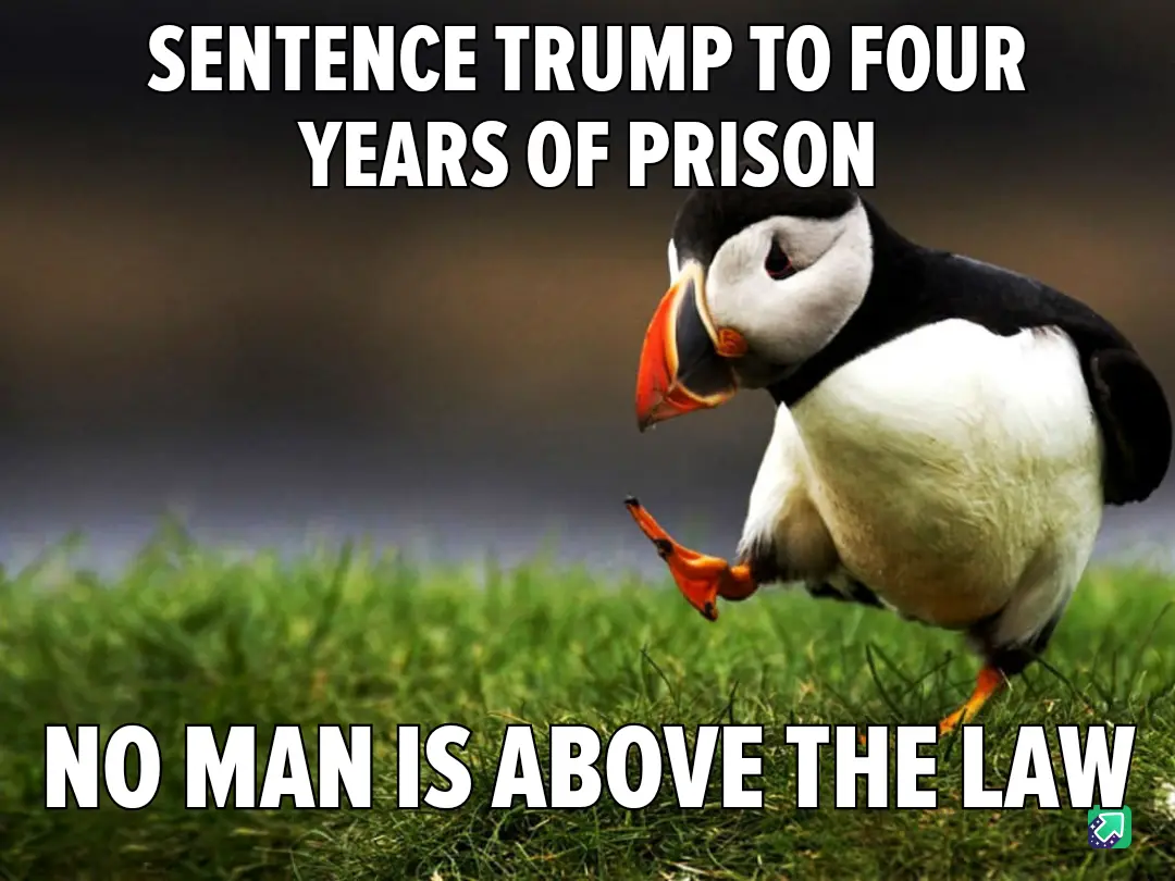 A photograph of a puffin standing on green grass with one foot lifted, looking down. White bold text at the top reads…