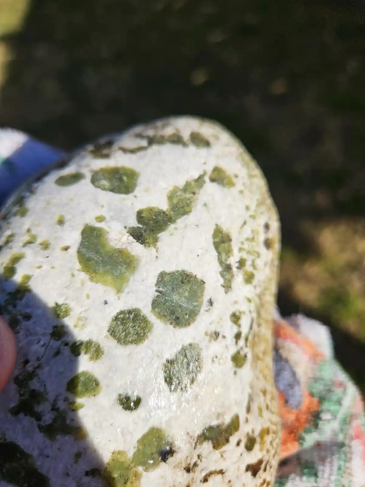 The first image shows where he scratched it.