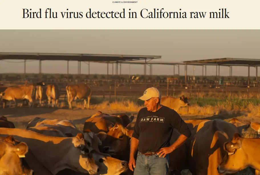 A man in a 'RAW FARM' t-shirt stands among a herd of cows in a dusty, fenced pasture under a hazy sky. The image is overlaid…