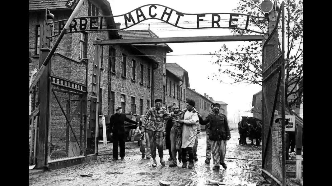A black-and-white historical photograph shows emaciated prisoners in striped uniforms walking out of the main gate of a…