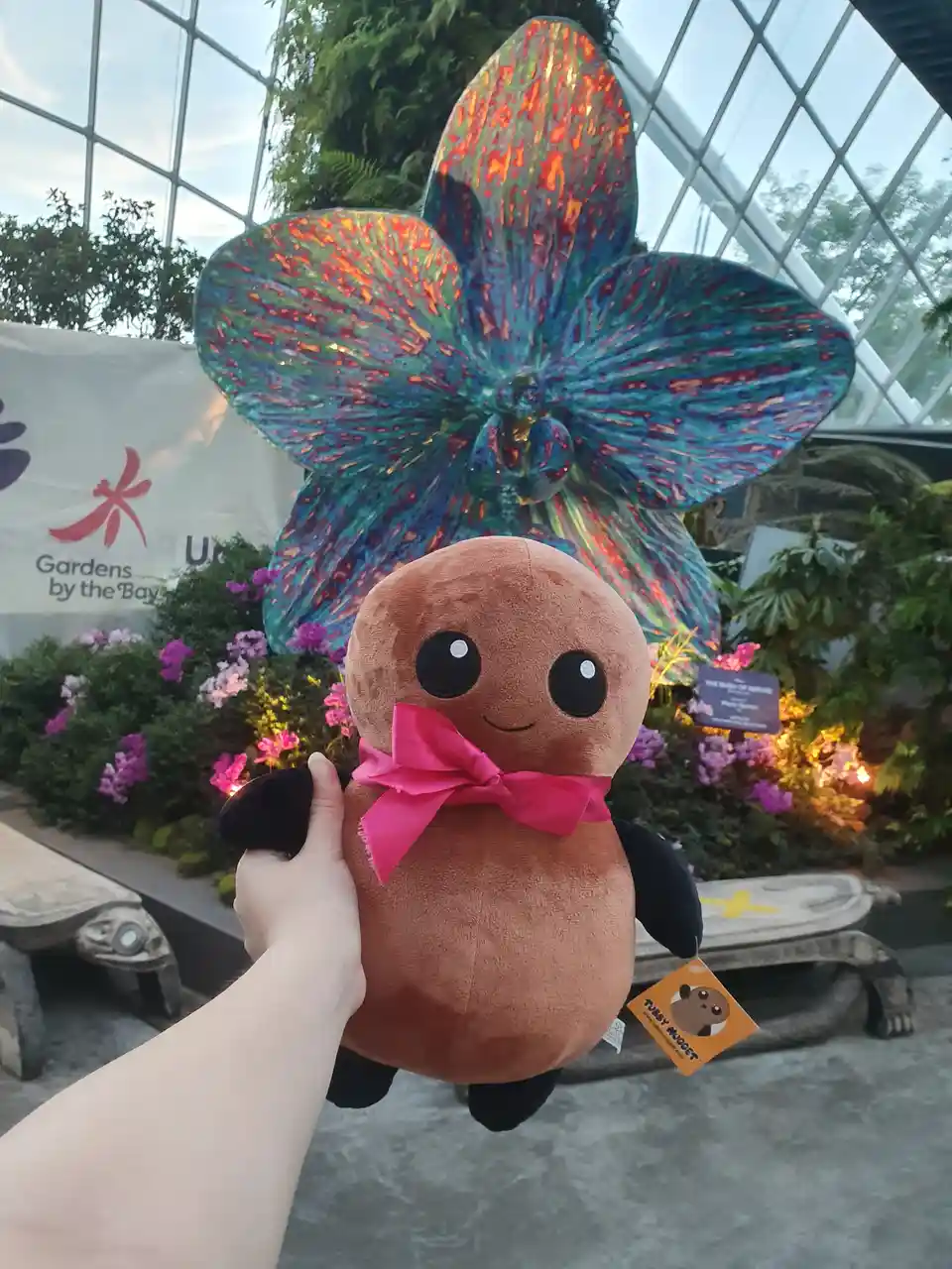 A person holds a brown, round plush toy with large black eyes, a pink bow, and black limbs, identified by a tag as 'Tubby…
