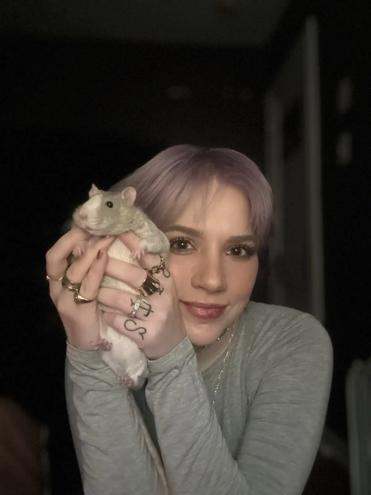 A person with short purple hair holds a small, light-colored rat in their hands, which have multiple rings and tattoos of…