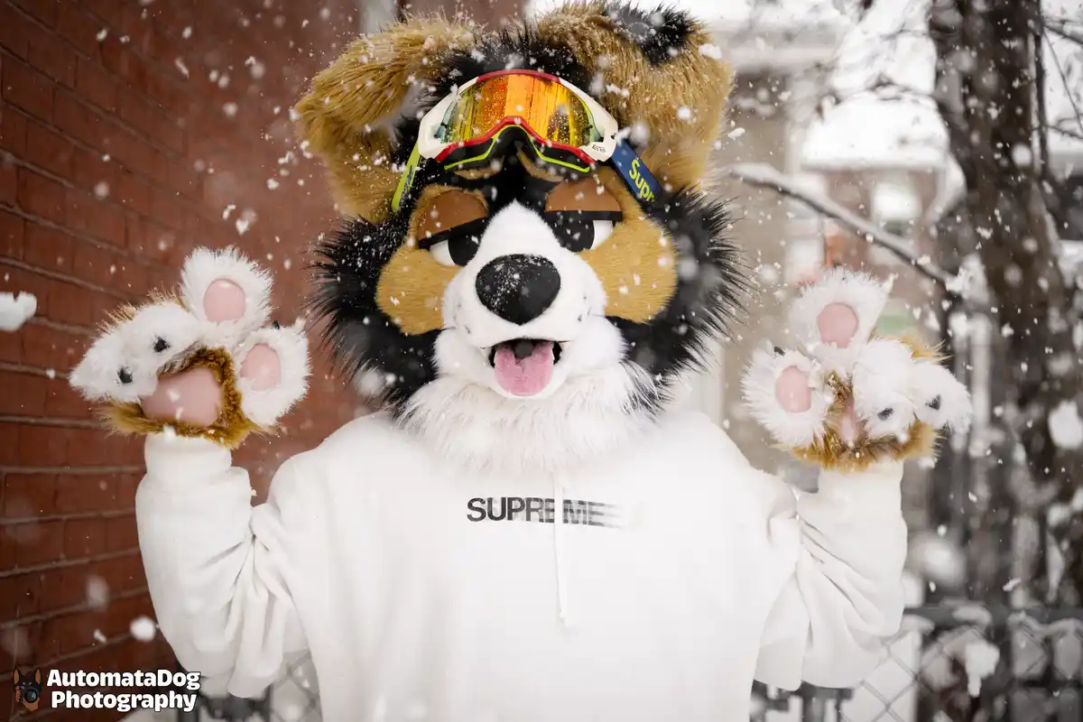 A person in a furry dog costume with a black, tan, and white coat, wearing ski goggles and a white hoodie with the word…
