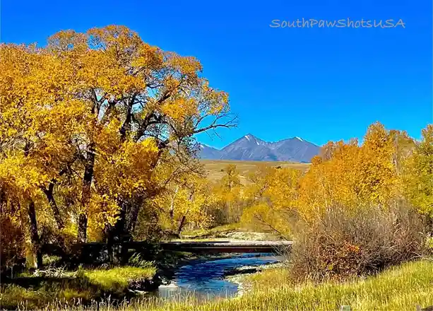 The Beauty of Autumn Unfolds