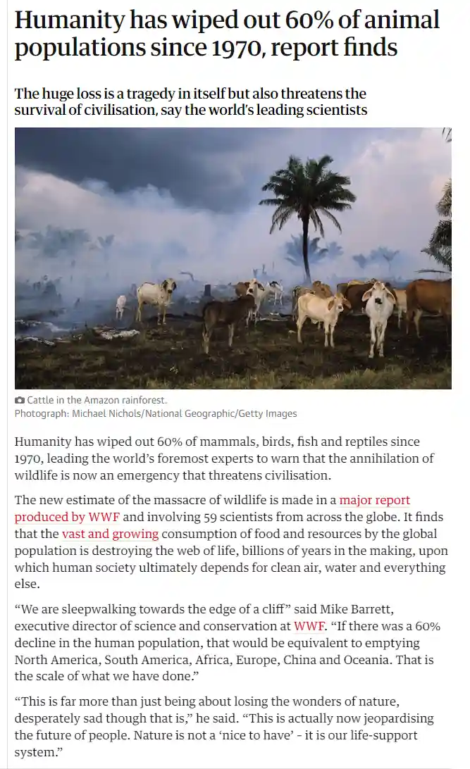 A news article screenshot shows a photo of cattle standing in a smoky, charred landscape with palm trees, implying…