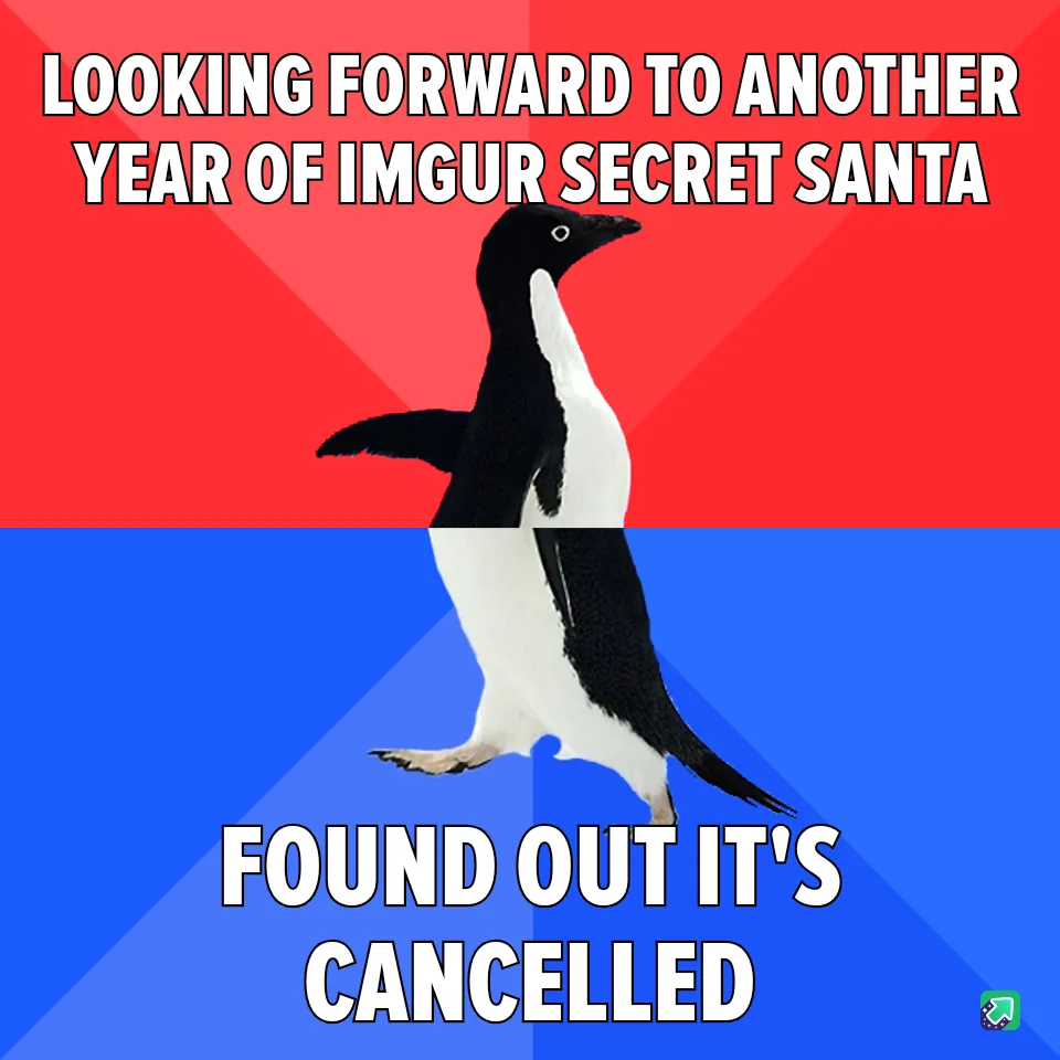 A black-and-white penguin stands centered against a red-and-blue background, with white bold text above reading 'LOOKING…