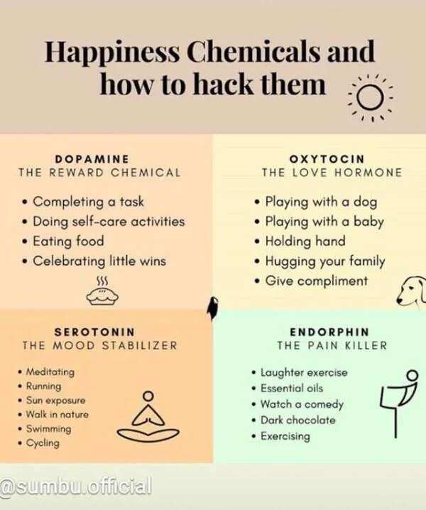 An infographic titled 'Happiness Chemicals and how to hack them' is divided into four colored quadrants. Each quadrant…