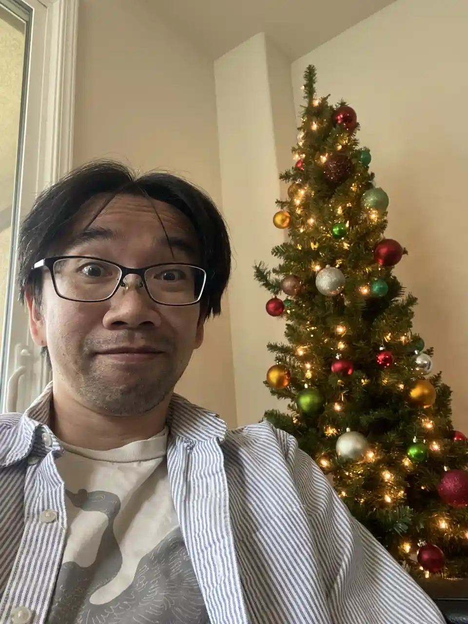 Merry Christmas! Looks Like My Niece 'Borrowed' the Tree Topper Again
