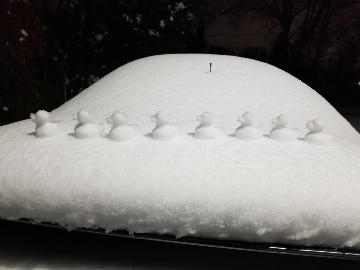 A car is completely covered in snow, with a row of snow-duck shapes molded along the hood. A single snow-duck shape is…