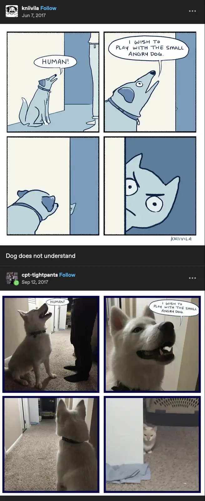 A four-panel comic strip shows a cartoon dog calling 'HUMAN!' then declaring it wants to play with 'the small angry dog' as…
