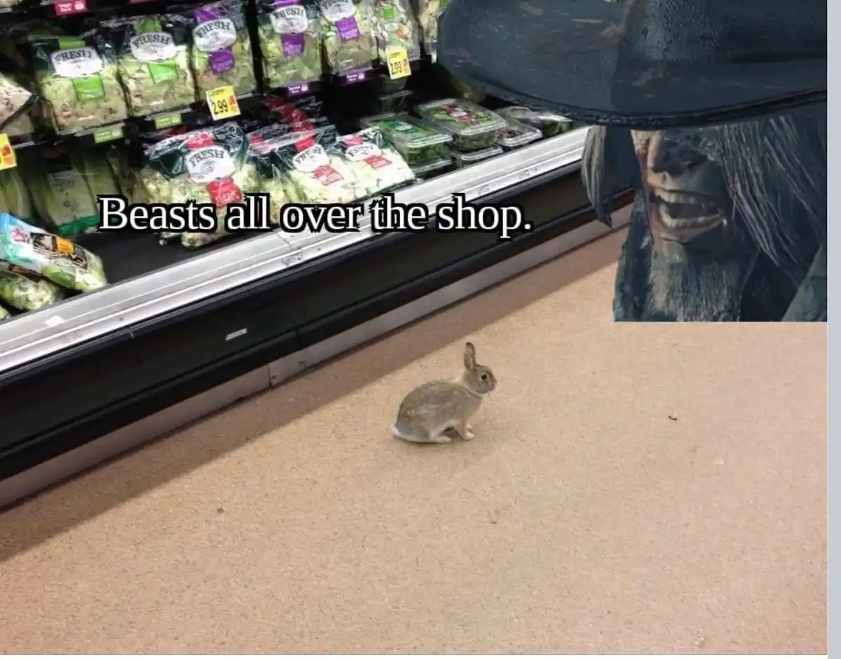 Friday Fun: A Meme Dump for My Friends