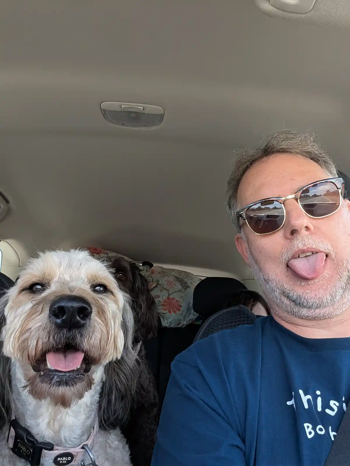 A selfie taken inside a car shows a man in sunglasses sticking his tongue out, next to a fluffy dog also sticking its tongue…